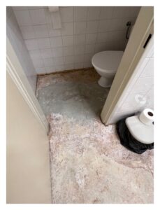 Renovace podkladu a pokládka PVC krytiny v zázemí Rychvaldské lékárny SANO.